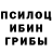 Галлюциногенные грибы Psilocybine cubensis Iulian Razvan