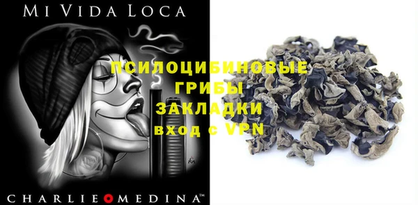 амф Верхний Тагил