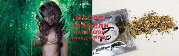 амф Верхний Тагил