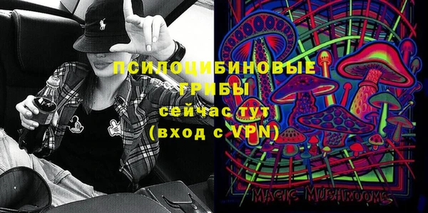 амф Верхний Тагил
