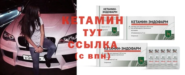 амф Верхний Тагил