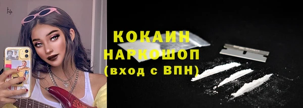 шишки Бронницы