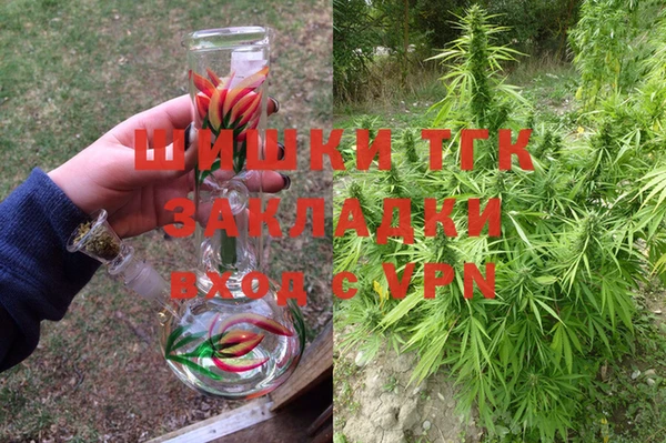 шишки Бронницы