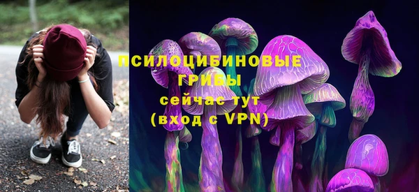 ALPHA PVP Верея