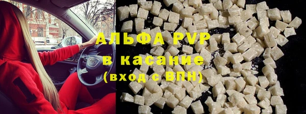 СК Бородино